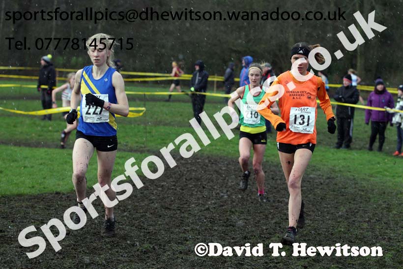 Senior womens Northern Cross Country Champs., Witton Park, Blackburn. Photo: David T. Hewitson/Sports for All Pics